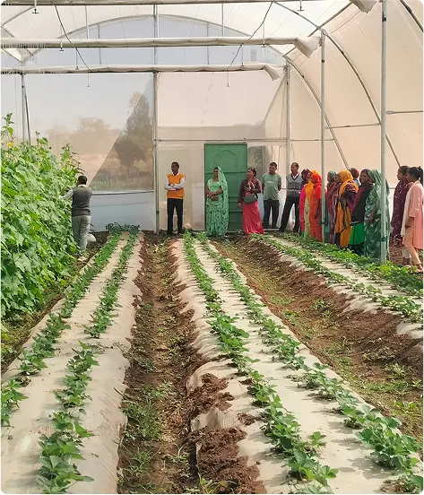 Drinking Water Schemes
