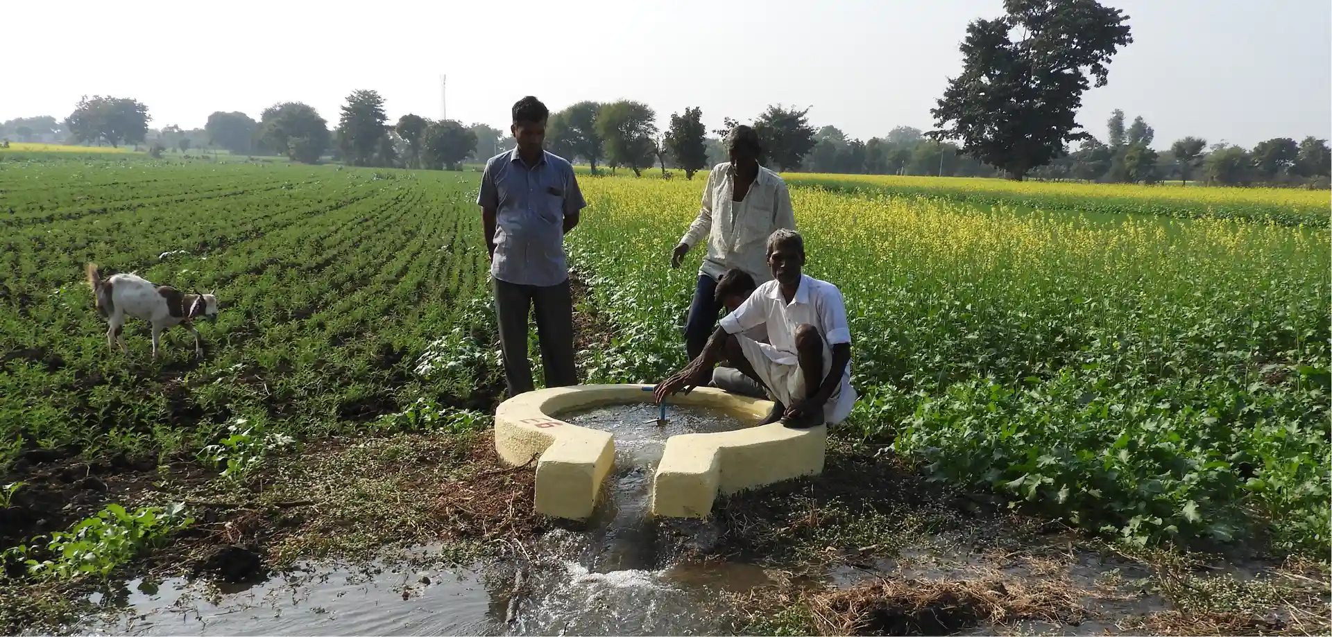 Water Resources
