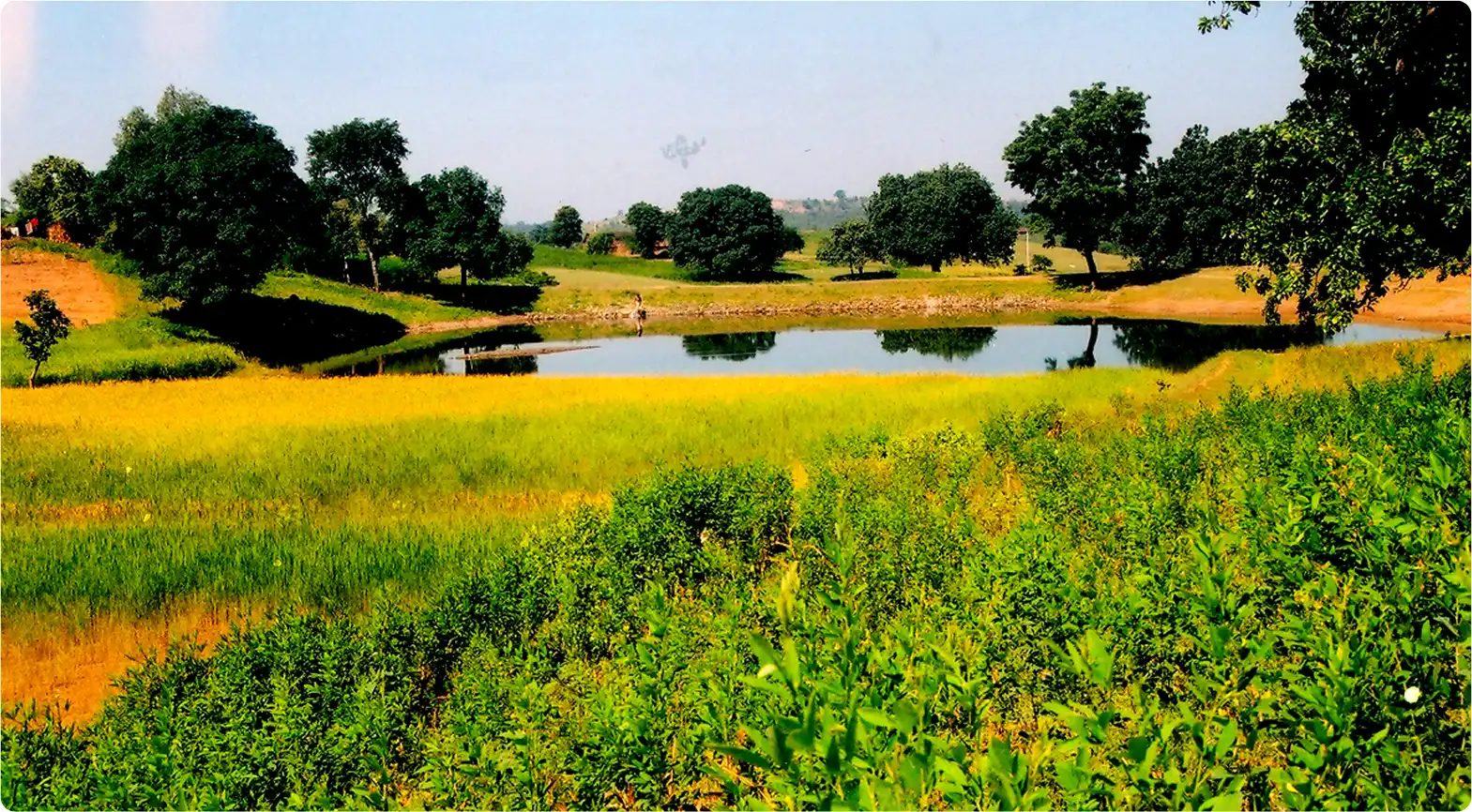 Water Harvesting