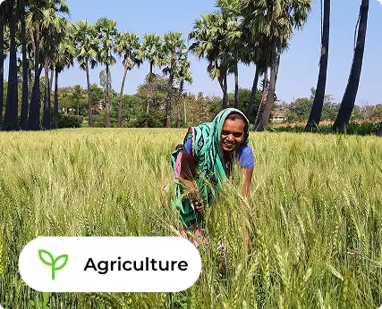 Agriculture