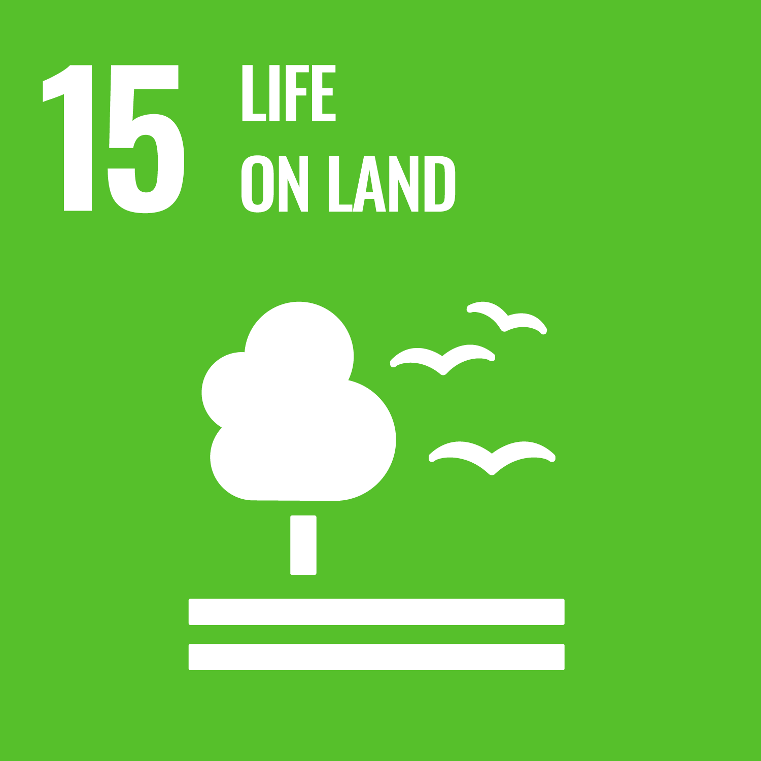 SDG 7