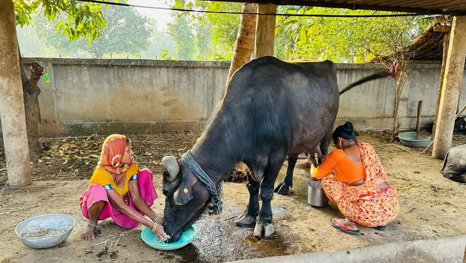 Water Harvesting
